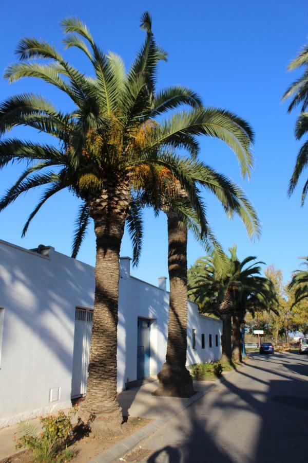 Lo Segador Guest House El Poble Nou del Delta Exterior foto